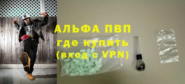 хмурый Алексин