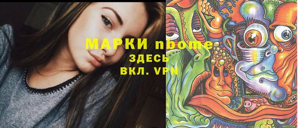 хмурый Алексин