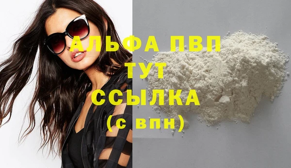 хмурый Алексин