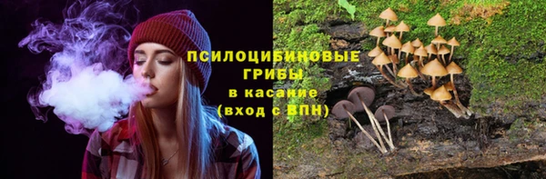 хмурый Алексин
