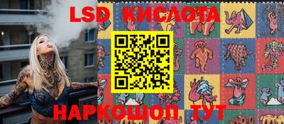 твердый Гусев