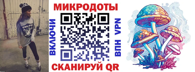 где найти   Нововоронеж  Псилоцибиновые грибы Psilocybine cubensis 