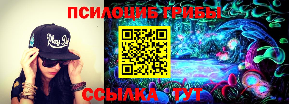 Галлюциногенные грибы GOLDEN TEACHER Нововоронеж