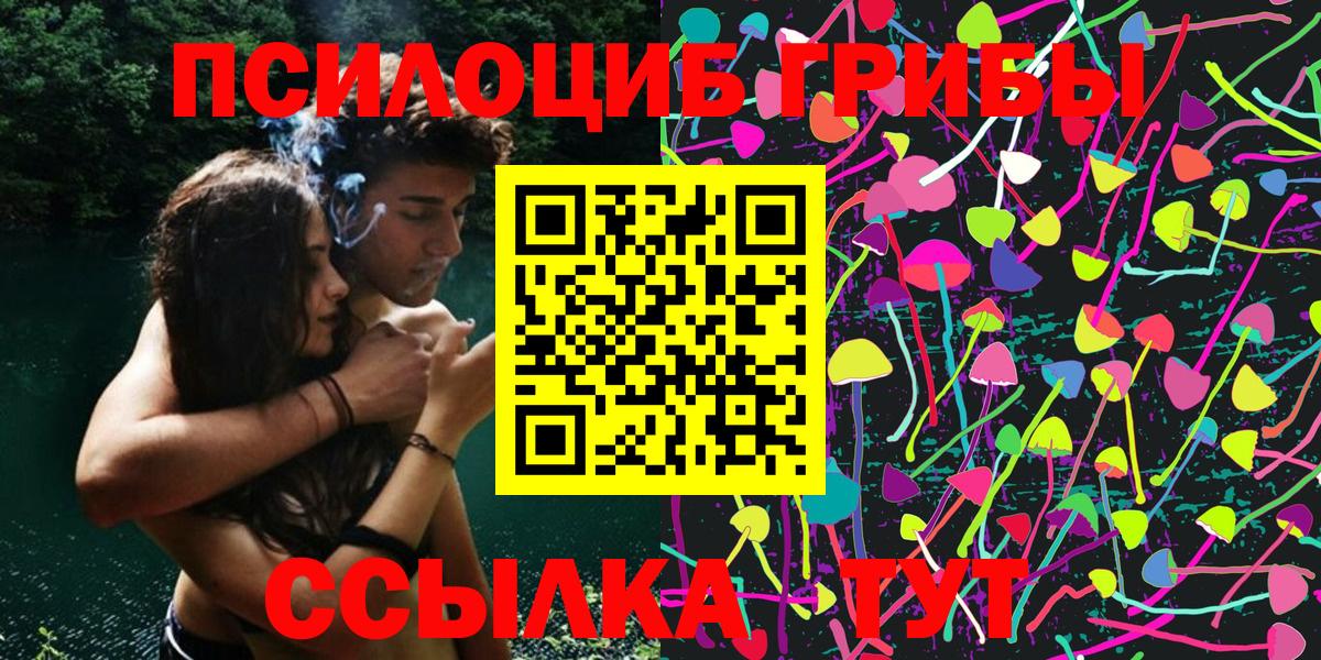 Нововоронеж  Галлюциногенные грибы Magic Shrooms  Вход с VPN 